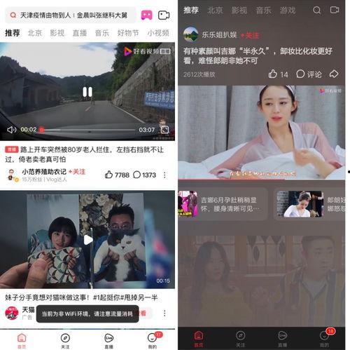 新瓜最新爆料在哪看视频,独家视频观看指南，不容错过！